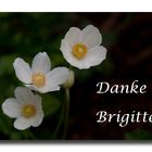 Zum Thema "Danke Brigitte"