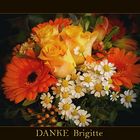 ZUM THEMA: "DANKE  Brigitte"