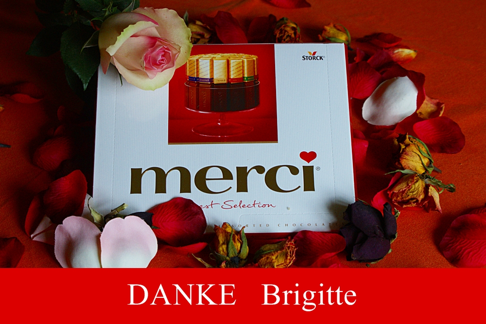 ZUM THEMA: Danke  Brigitte