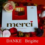 ZUM THEMA: Danke  Brigitte