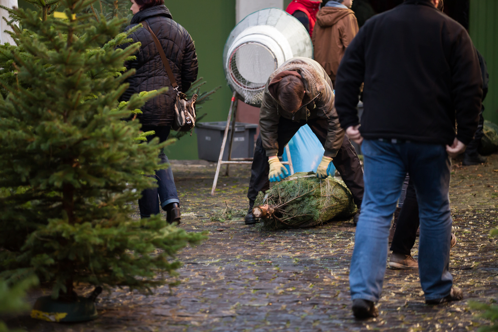 Zum Thema: "DAS FEST STEHT VOR DER TÜR"