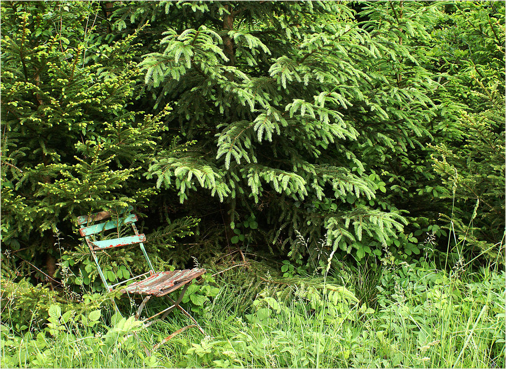 Zum Thema: Das grüne Zimmer der Natur