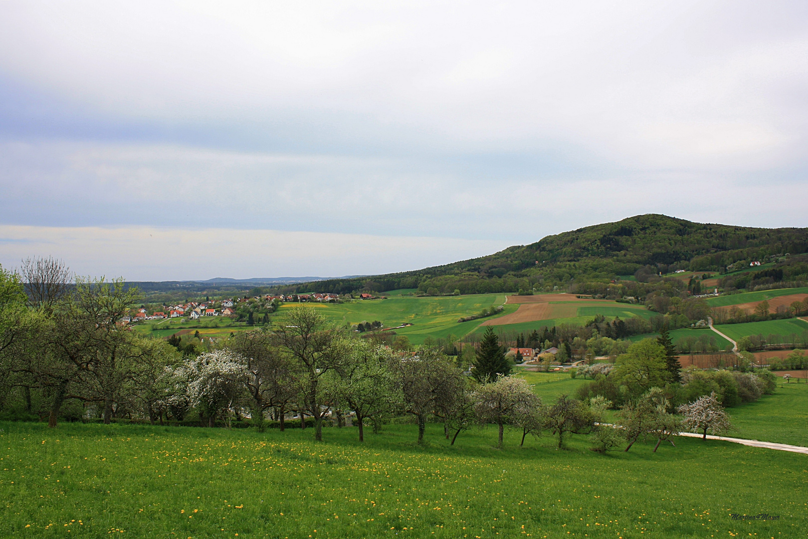 zum Thema "das grüne Zimmer der Natur"