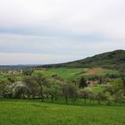 zum Thema "das grüne Zimmer der Natur"