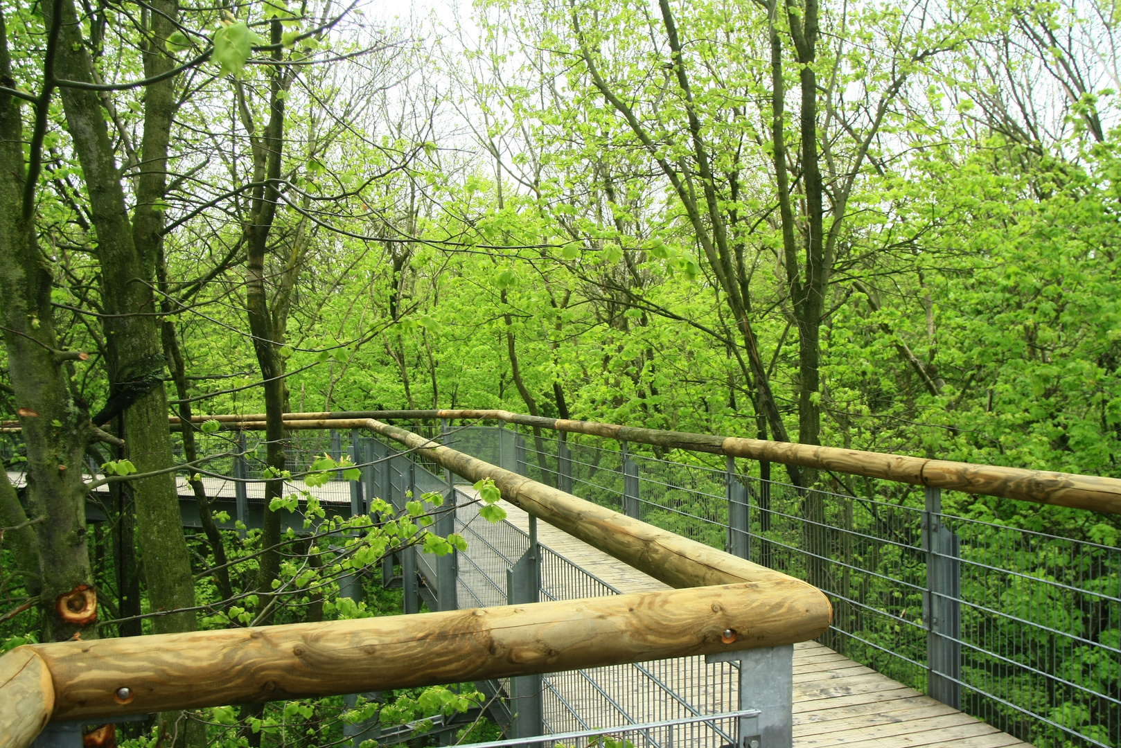 Zum Thema "Das grüne Zimmer der Natur"...