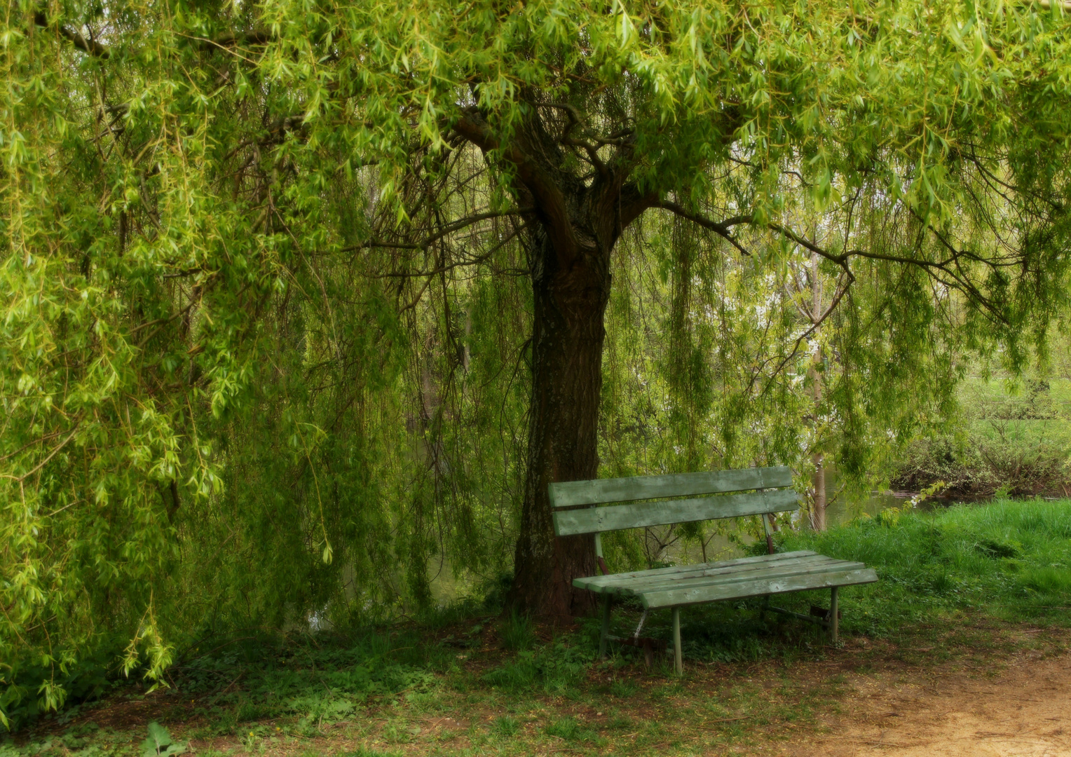 ZUM THEMA: Das grüne Zimmer der Natur