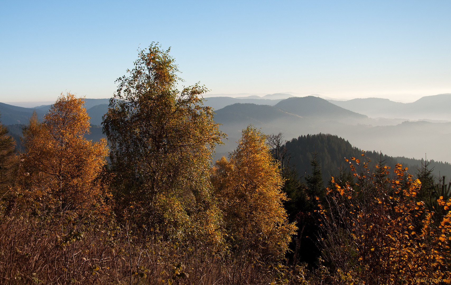 Zum Thema "Der schöne Herbst ist da"