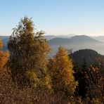 Zum Thema "Der schöne Herbst ist da"