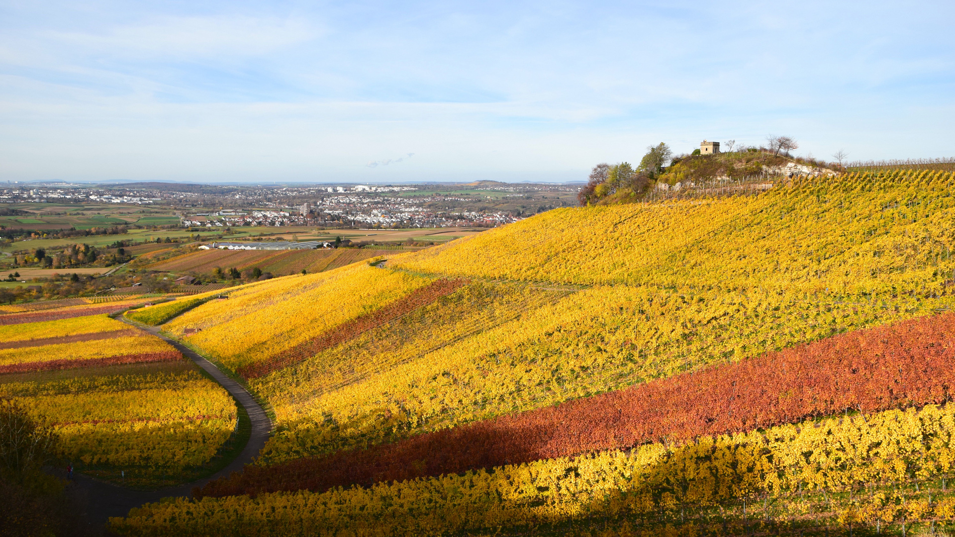 ZUM THEMA "DER SCHÖNE HERBST IST DA"