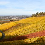 ZUM THEMA "DER SCHÖNE HERBST IST DA"