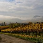 Zum Thema "Der schöne Herbst ist da"