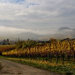 Zum Thema "Der schöne Herbst ist da"