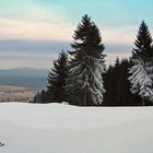 ZUM THEMA: "Der Winter zeigt sich"