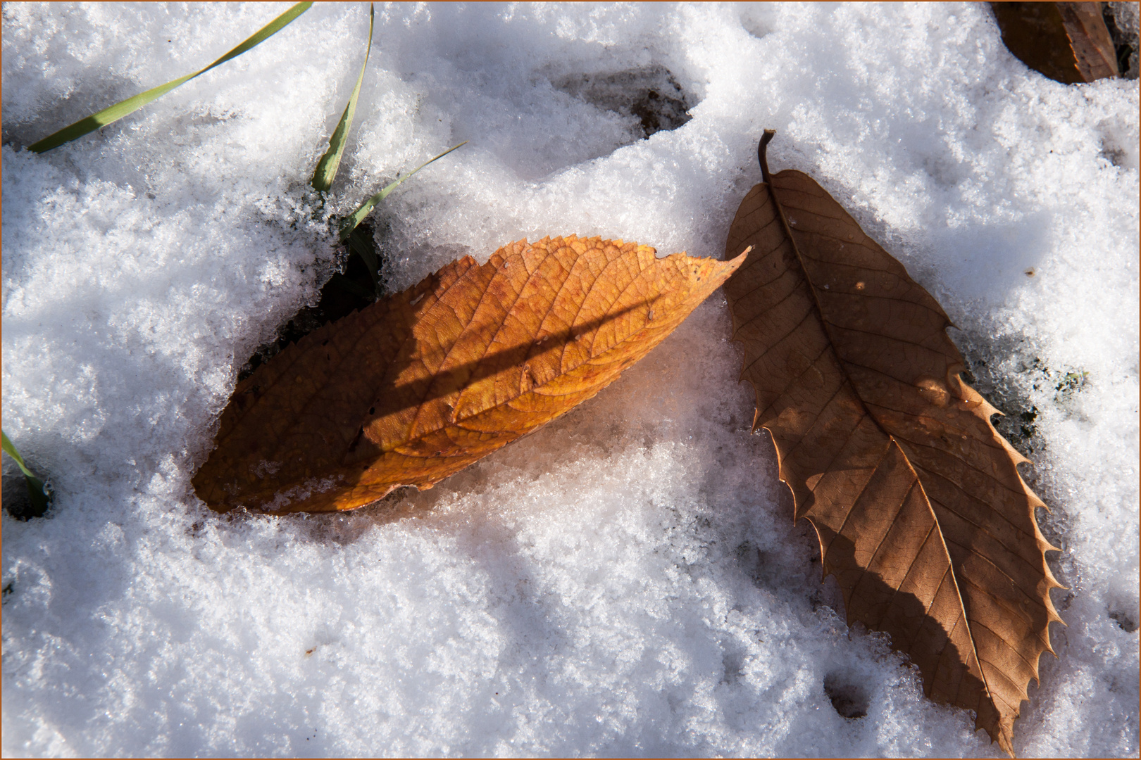 ZUM THEMA: DER WINTER ZEIGT SICH