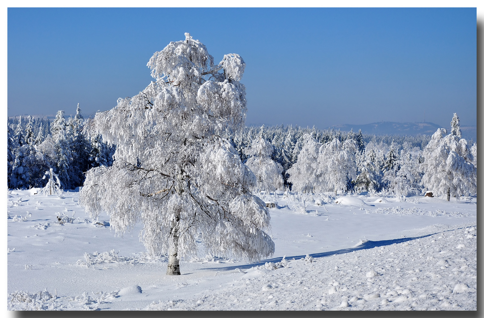 Zum Thema "Der Winter zeigt sich"