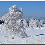 Zum Thema "Der Winter zeigt sich"