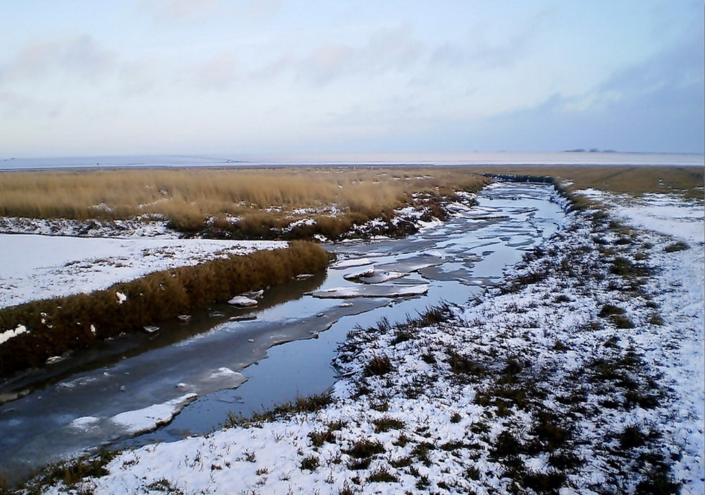 ZUM THEMA: "Der Winter zeigt sich"