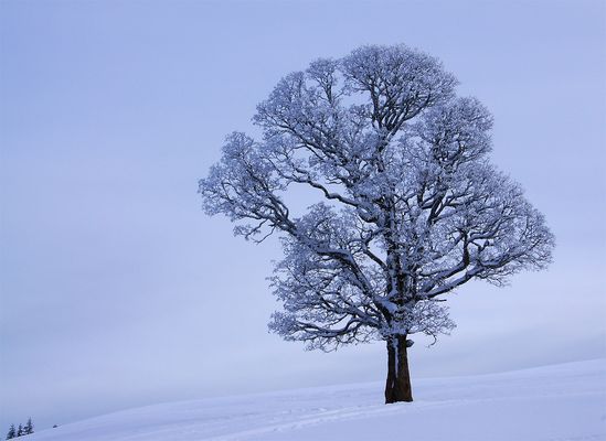 Zum Thema: Durchstarten