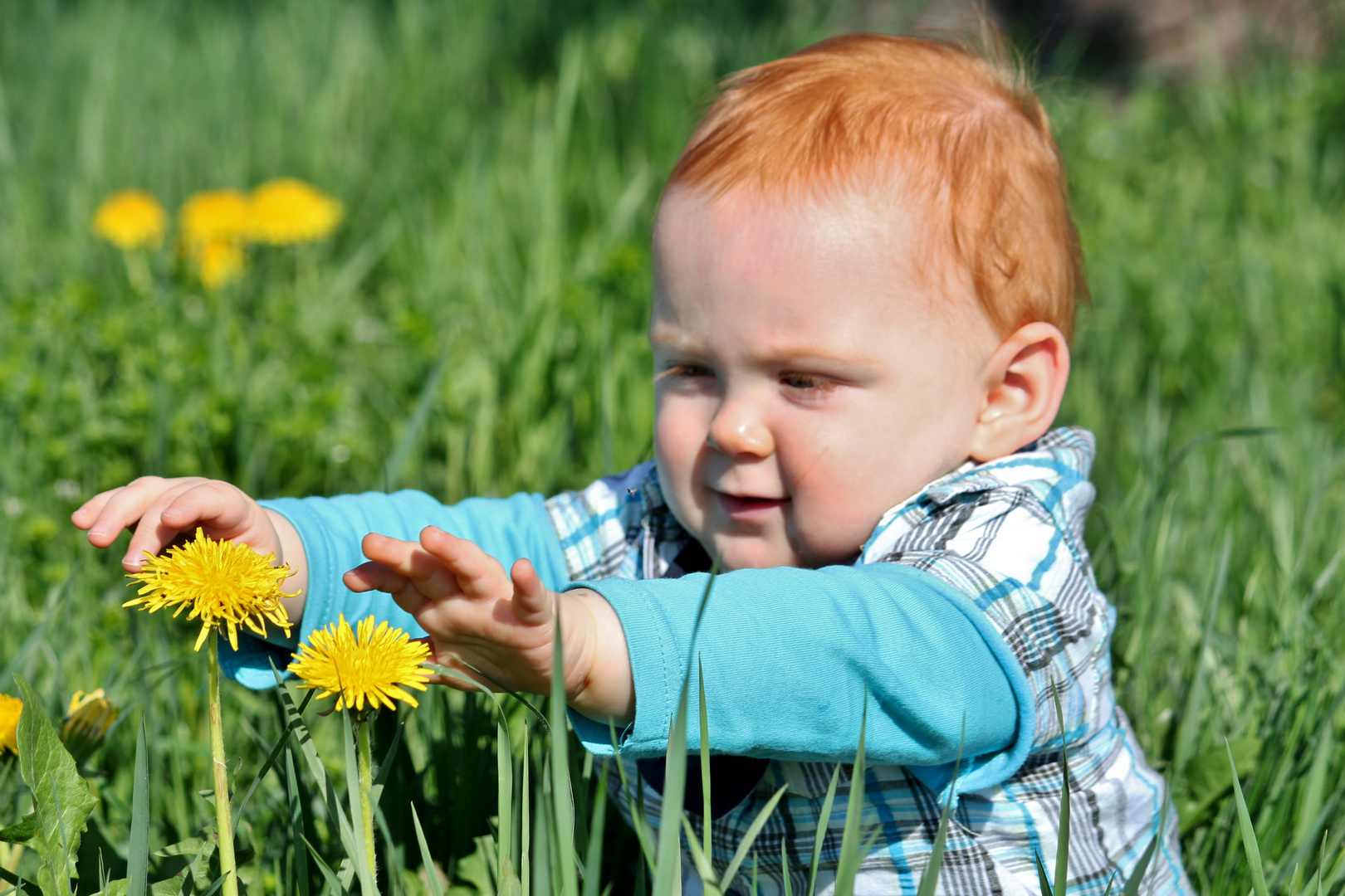 zum Thema: endlich Frühling