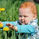 zum Thema: endlich Frühling