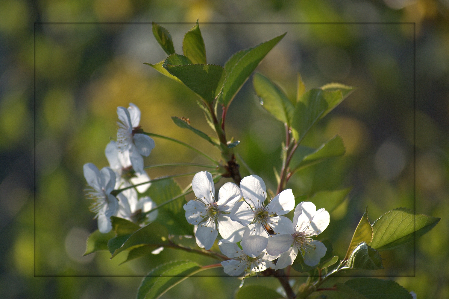 ZUM THEMA: Endlich Frühling