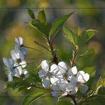 ZUM THEMA: Endlich Frühling