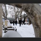 Zum Thema: FOTOFREUNDE IM SCHNEE