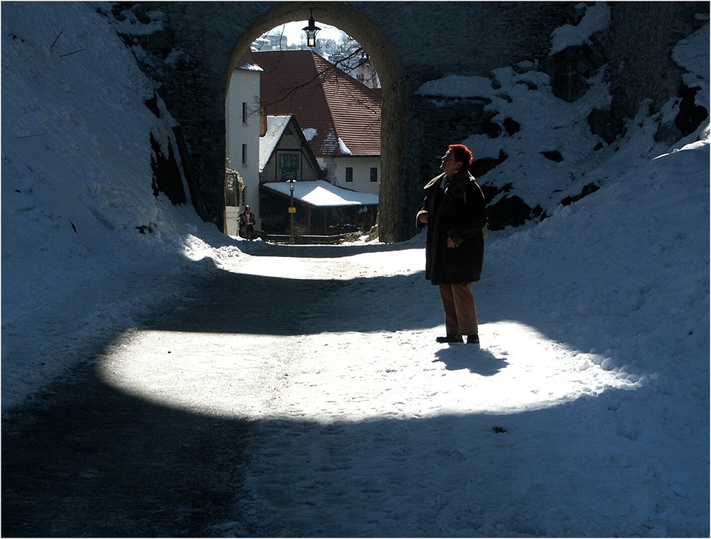 ZUM THEMA : "FOTOFREUNDE (IN) IM SCHNEE"