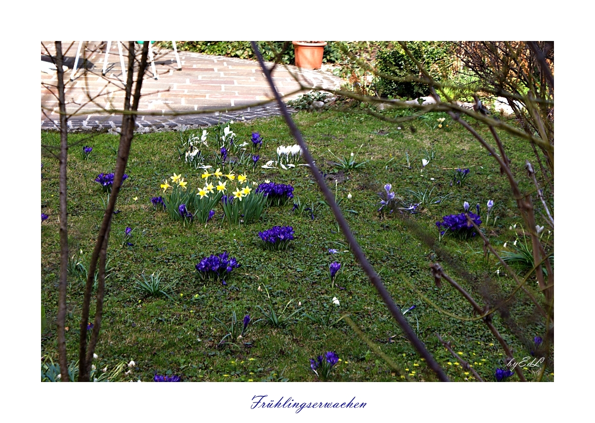 ZUM THEMA: Frühlingserwachen