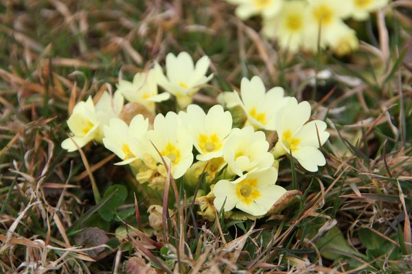 Zum Thema "Frühlingserwachen"