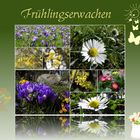 Zum Thema "Frühlingserwachen"