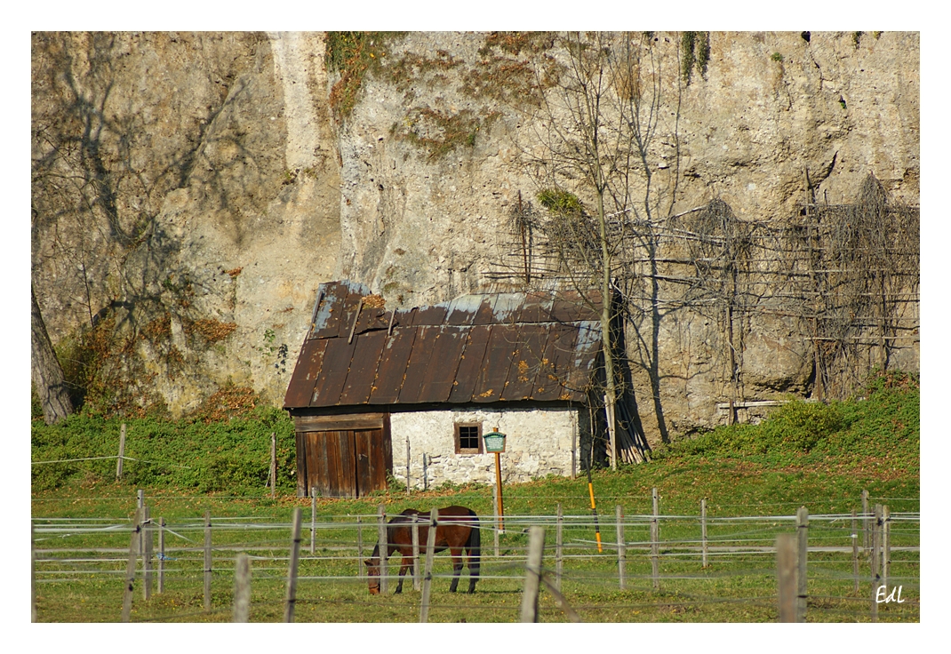 ZUM THEMA: Gebäude mit Holz