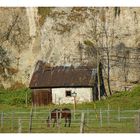 ZUM THEMA: Gebäude mit Holz