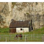 ZUM THEMA: Gebäude mit Holz