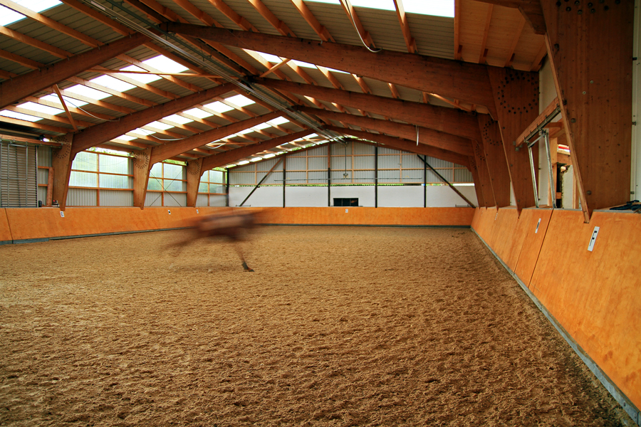 ZUM THEMA "GEBÄUDE MIT HOLZ"