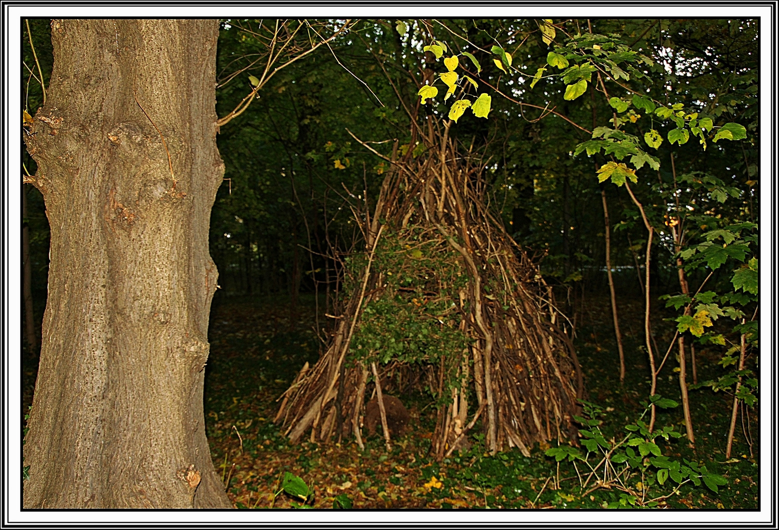 Zum Thema " Gebäude mit  Holz"