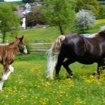 zum Thema: Geschwindigkeit