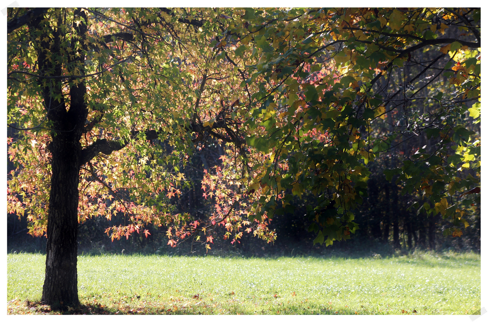 zum Thema: "Herbstzauber"