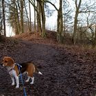 ZUM THEMA: "mein Januar"