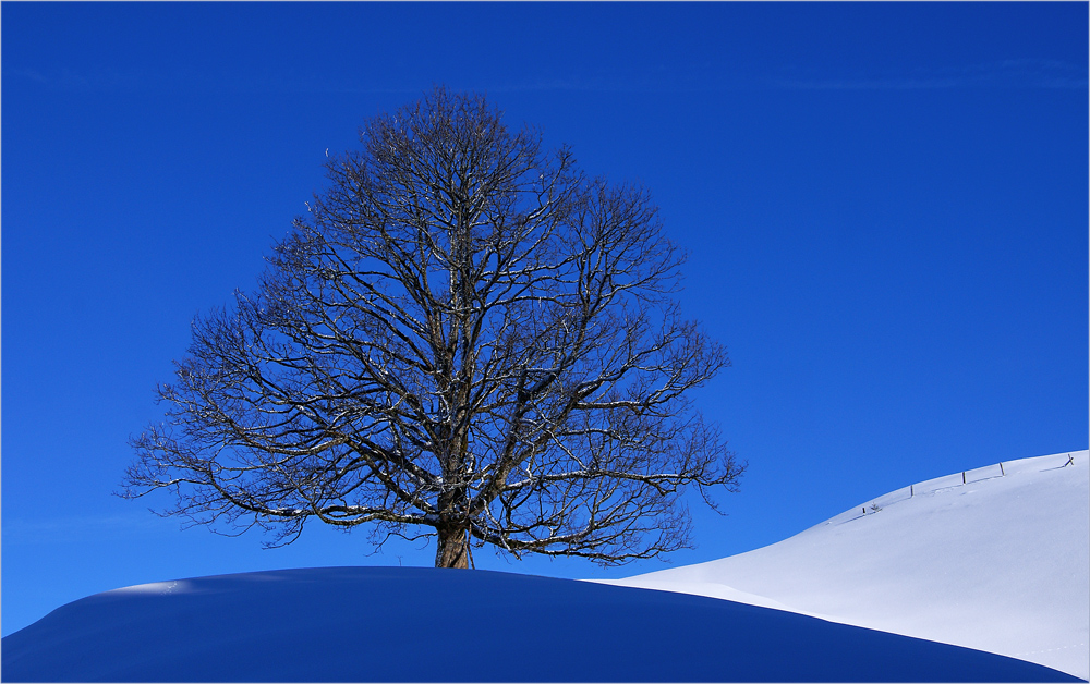 Zum Thema: "Mein Januar" 1