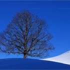 Zum Thema: "Mein Januar" 1