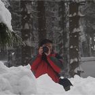 zum thema: MIT FOTOFREUNDEN IM SCHNEE