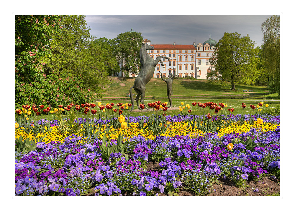 zum thema: NATUR IN DER STADT