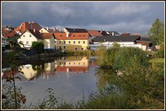 Zum Thema .. " Natur in der Stadt "