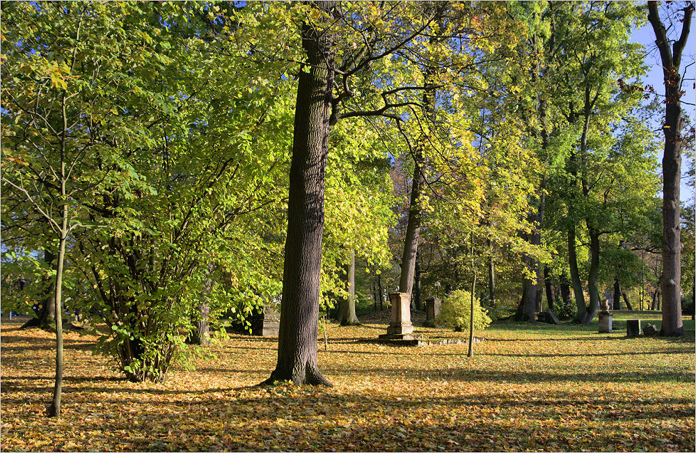 Zum Thema: Natur in der Stadt