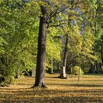 Zum Thema: Natur in der Stadt