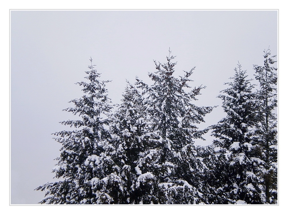 ZUM THEMA: "Nur ein Fensterblick"