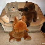 ZUM Thema: Puppen  & Teddys