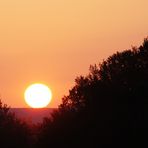 Zum Thema: Sonnenaufgang