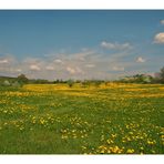 Zum Thema: Träume die nicht in Erfüllung gingen